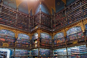 Cabinet royal portugais de lecture, Brésil