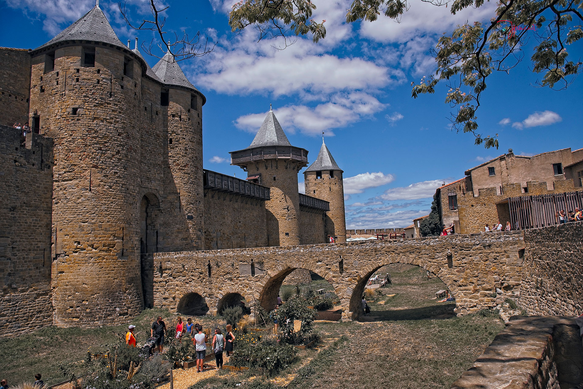 Citée de Carcassonne