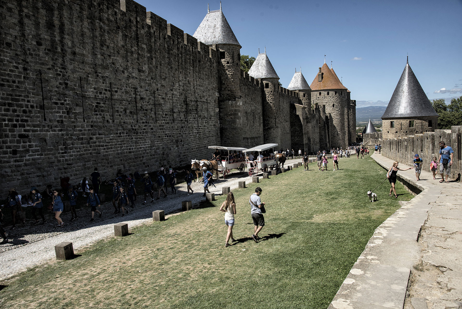 Citée de Carcassonne