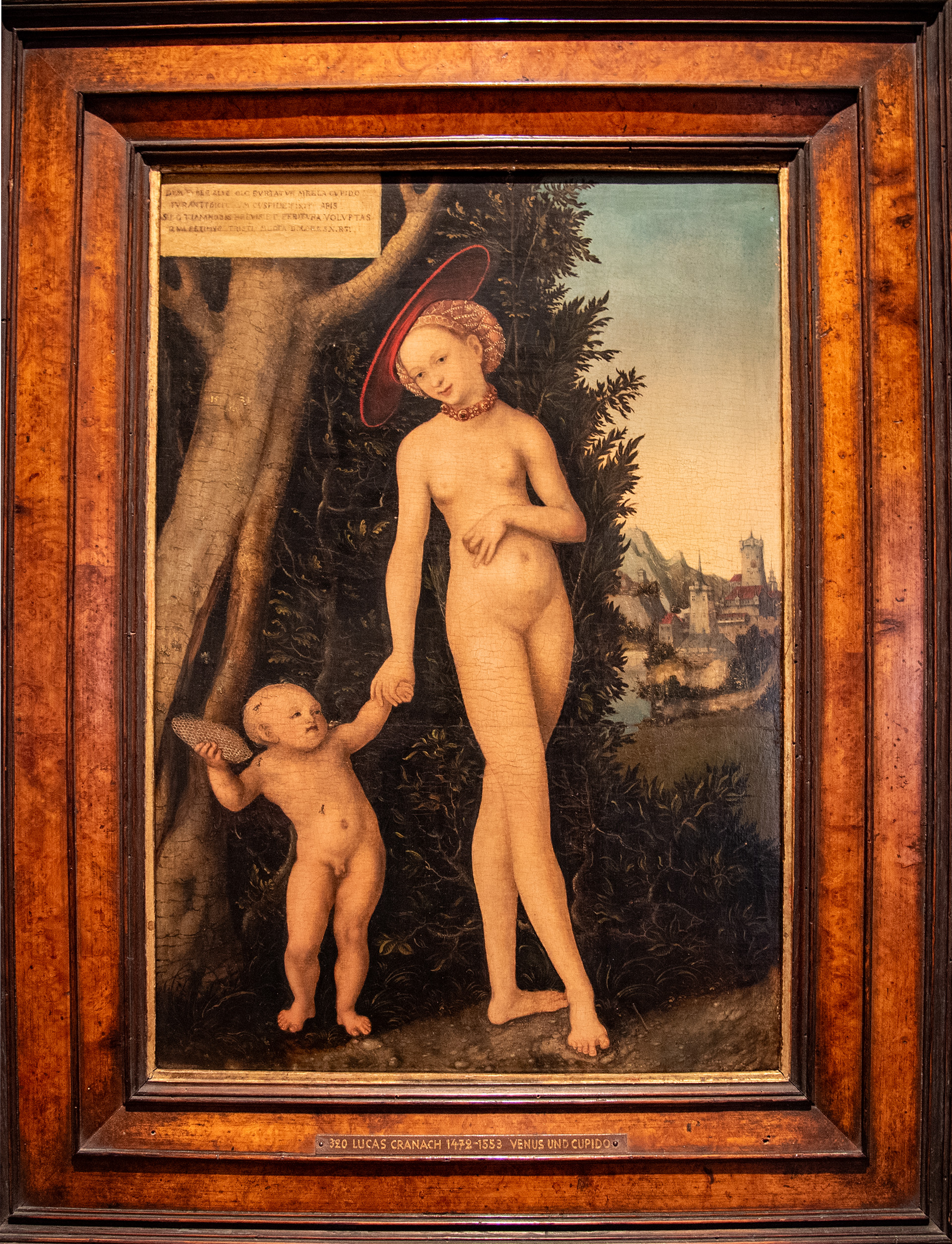 Lucas CRANACH L'ANCIEN (1472 - 1553), Venus et Cupidon volant du miel - 1531 - Huile sur toile
