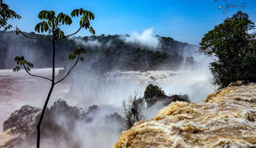 Chutes de IGUACO