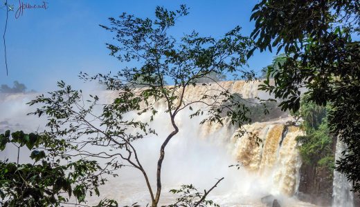 Chutes de IGUACO