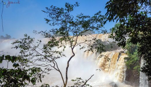 Chutes de IGUACO