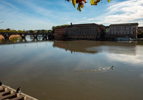 Toulouse - La Garonne avec vue sur l'Hotel Dieux