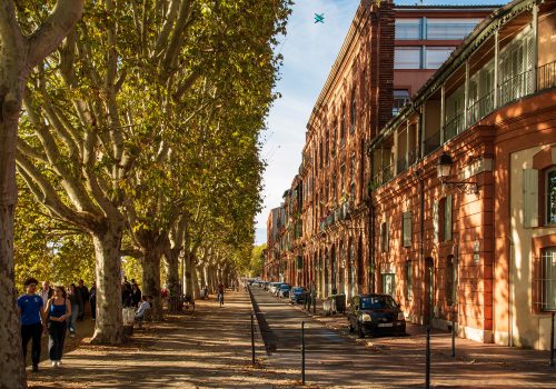 Toulouse - Lumières d'Automne