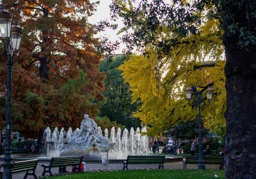 Place Wilson